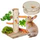Rabbit toy, set of 2, feeding stand & treat box, teeth grinding, guinea pig feeding stand, natural wood - Relaxdays