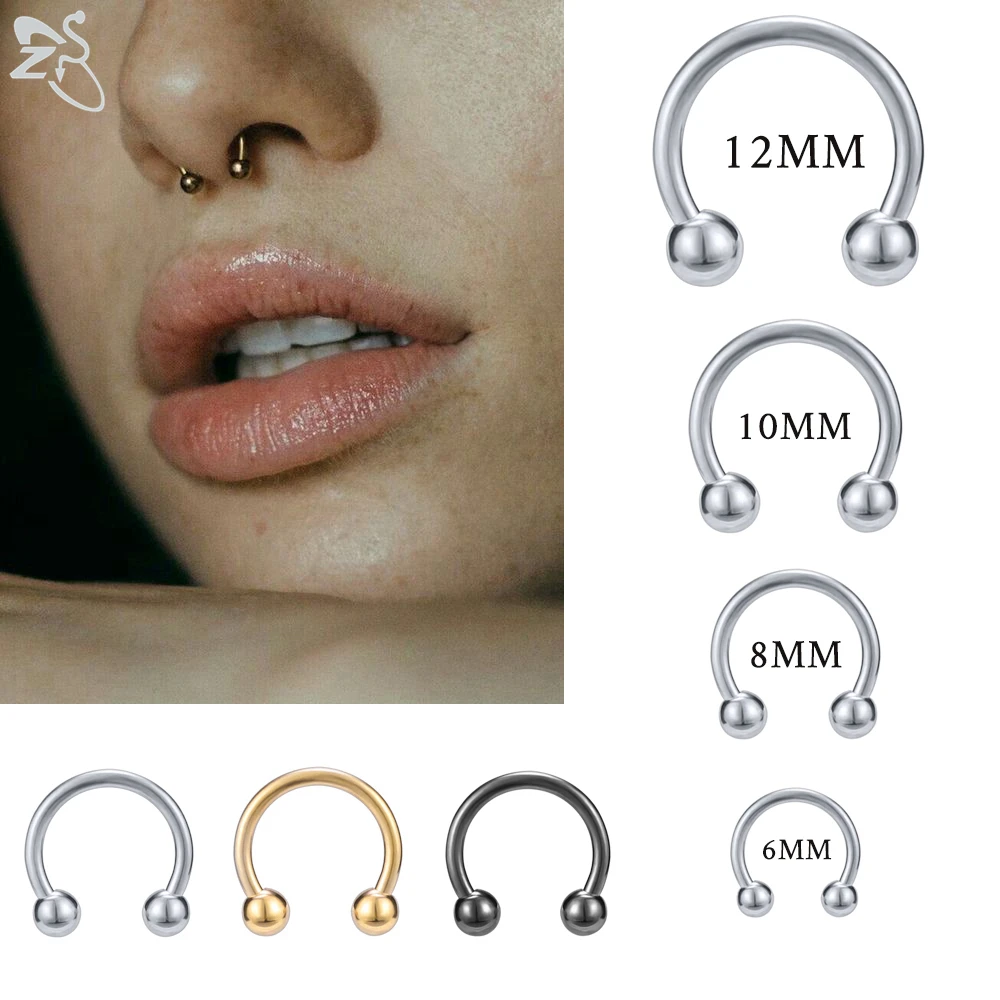 ZS 1 STÜCK 316L Edelstahl Nasenring 14G 16G Nasenpiercings Helix Ohrpiercing Damen Herren Septum Ringe Körperpiercing Schmuck Image