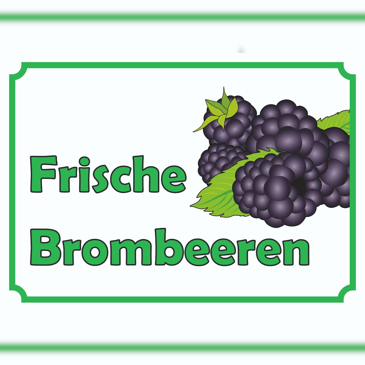 Verkaufsschild Schild Brombeeren A2 Rückseite selbstklebend Image