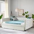 Hokku Designs Codylee Daybed w/ Trundle Upholstered/Velvet, Solid Wood in White/Brown | 30.75 H x 58 W x 82.75 D in | Wayfair