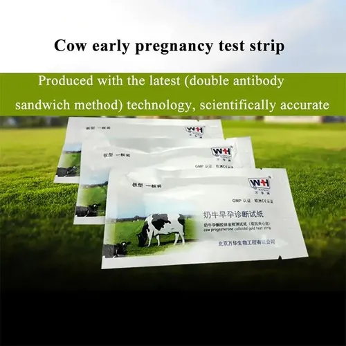 Kuh Schwangerschaft Test Papier Kuh Rinder Frühen Schwangere Erkennung Papier Schwangerschaft