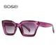 SO & EI Mode Cat Eye Sonnenbrille Frauen Marke Designer Retro Quadrat Blau Lila Brillen Weibliche
