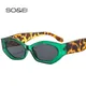 SO & EI Ins Beliebte Mode Polygon Cat Eye Frauen Sonnenbrille Retro Bunte Oval Brillen Shades UV400