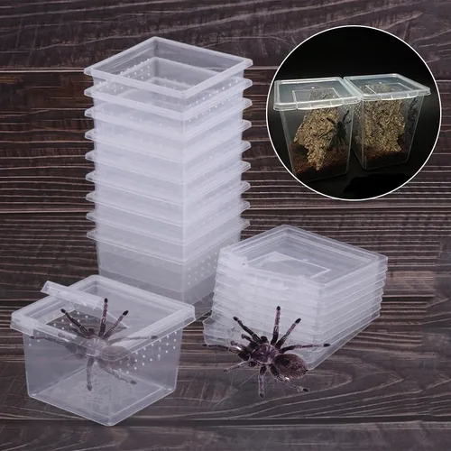 1pc Kunststoff Reptilien Living Box transparent Reptilien Terrarium Lebensraum für Skorpion Spinne