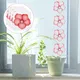 30Pcs Fenster Fliegen Fallen Pfirsich Blossom Muster Fenster Fliegen Aufkleber Fliegen Aufkleber