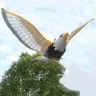 Manor Vogel Repeller Fliegen Adler Mit Musik Flash Hängen Pest Abweisend Scarer Garten Vögel Beweis