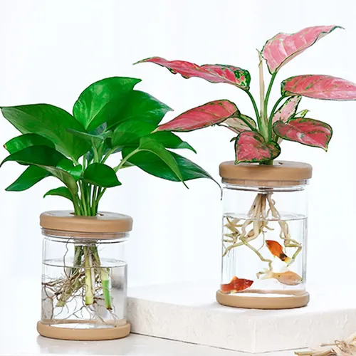Mini Hydrokultur Blume Topf Home Vase Decor Transparent Nachahmung Glas Soilless Anlage Töpfe Grün