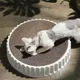 Runde Katze Scratcher Pad Schleifen Krallen Karton Well Papier Katzen Kratzen Bord Kätzchen Schaber