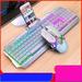 Mechanical Gaming Keyboard Retro Punk Gaming Keyboard with RGB Backlit 104 Keys Blue Switch Wired Cute Keyboard Uique Square Keycaps for Windows/Mac/PC - Metallic white rainbow light Keyboard+mouse