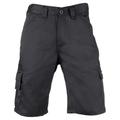 Dickies Everyday Short Black - 36W