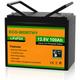 Eco-worthy - 12V 100Ah Low Temp Cut-Off LiFePO4 Akku Lithium Batterie mit bms schutz und 3000-15000