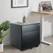 HONSIT 2-Drawer Mobile Filing Cabinet with Lock and Casters Fully Assembled Except Casters Vertical File Metal Cabinet for Home Office Medium Filing Cabinet Under Desk Black