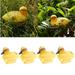 4pc Baby Duck Floating Decoy Garden Pool Pond Ornament Hunting Fishing Decor