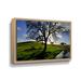 Hokku Designs Dejarvis California Oak in Late Afternoon Light - Print on Canvas in Blue/Green | 16 H x 24 W x 2 D in | Wayfair