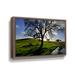 Hokku Designs Dejarvis California Oak in Late Afternoon Light - Print on Canvas in White | 24 H x 36 W x 2 D in | Wayfair