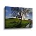 Hokku Designs Dejarvis California Oak in Late Afternoon Light - Print on Canvas in Blue/Green | 8 H x 12 W x 2 D in | Wayfair