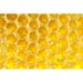 Hokku Designs Tocara Honey Hive On Canvas by Operofilm Photograph Canvas in White | 24 H x 36 W x 1.25 D in | Wayfair