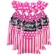 Disney Minnie Cellophane Bags Heat Sealable Bow Pink Candy Bags Gift Bag Treat Bag Birthday Party