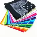 Hip Hop Bandana 23 Styles Man Women Fashion Outdoor Headbands Hair Band Wrist Wraps Hair Scarves