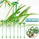 5/10/20pcs Plant Supports Flower Stand Butterflies Orchid Support Rod Climbing Plants Stick