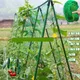 Trellis Netting for Climbing Plants Heavy Duty Garden Trellis Netting for Vine Fruits &