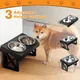 Elevated Dog Bowls 3 Adjustable Heights Raised Dog Food Water Bowl with Slow Feeder Bowl Standing