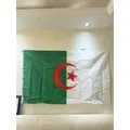 High Quality ALG Algeria Flag 90X150cm Hanging Polyester Vivid Color and UV Fade Resisitant-Algerian