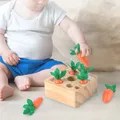 Wooden Toys Montessori Toy Set Carrot Shape Matching Size Cognition Baby Montessori Educational Toy