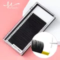 Individual Lashes Korean PBT Materials Soft Comfortable Eyelashes Extensions Supplies 20 Rows High