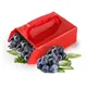 Portable Berry Pickers Metal Comb Rakes Picking Fruit Collecting Scoop Handle Blueberry Collection