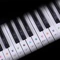 Transparent Piano Keyboard Stickers 88/61/54/49 Key Detachable Music Decal Notes Electronic Piano