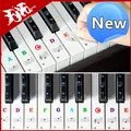 Newest Transparent Piano Keyboard Stickers 88/61/54/49 Key Detachable Music Decal Notes Electronic