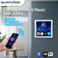 Home Theater Stereo Sound Wifi BT Wall Amplifier 4'' Touch Screen Android 10.0 Support Voice Control