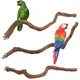 Natural Parrot Perch Bird Stand Tree Stick Paw Grinding Fork Parakeet Climbing Bird Standing
