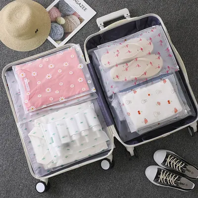 5pcs Transparent Storage Bags Travel Clothes Shoes Bag Portable Luggage Organizer Cosmetic Make Up