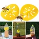 3/6/12pcs Wasp Trap Catcher Flower Shape Flying Insects Funnel Trap Bee Hornet Catcher Garden