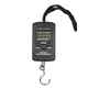 40KG Portable Electronic Fish Scale Carp Fishing Weight Hook Scale Pocket Digital Fishing Tools