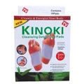 Retail 5 Box 100Pcs 4Y Cleansing Detox Foot Kinoki Pads Cleanse Energize Your