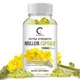 GPGP Greenpeople Natural Mullein Leaf Capsule Clear Lungs Relieve Cough Digestive Health care Pain