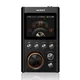 Professional HIFI Lossless MP3 Music Player DSD 64 256 Flac Alac Mini Sport Running Digital Audio