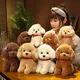 1Pc 22/28cm Lovely Curly Hair Teddy Dog Plush Toys Wears Collar Head Flower Teddy Dolls Stuffed Soft