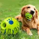 Balle sonore roulante pour chiens jouet coule pour animaux de compagnie soulage l'ennui