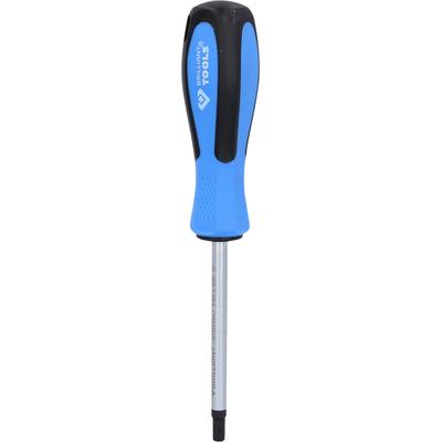 Brilliant Tools Schraubendreher TORX, T40 x 100 mm BT031042 Image