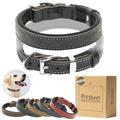 Filbert Flat Leather Dog Collar with Buckle for Large Dogs Medium Dogs & Small Dogs Genuine Leather Collar for Dogs Brown Camel Red Blue Black Dog Collar Embossed Pawprint Leather Dog Collars