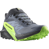 Trailrunningschuh SALOMON "SENSE RIDE 5 GORE-TEX", Gr. 46, grau (grau, grün), Textil, Synthetik, sportlich, Schuhe, wasserdichte Trailrunningschuhe