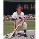 Ron Santo Posed Sports Photo