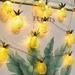 20FT 40 LED Pineapple String Lights Battery Operated Fairy String Lights for Tropical Party Decorations Bedroom Birthday Pineapple Gifts