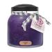 A Cheerful Candle LLC Keepers Aurora Sky Scented Jar Candle Paraffin in Indigo | 5.5 H x 4.75 W x 4.75 D in | Wayfair JP191