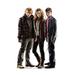 Advanced Graphics Harry Potter Ron, Hermione, Harry Cardboard Stand-Up | 67 H x 44 W x 6 D in | Wayfair 1048
