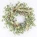 Primrue Eucalyptus Berry 26" Wreath Silk in Green/Brown | 26 H x 26 W x 6 D in | Wayfair 159C3E8F98D843A487494A4E413E82A2